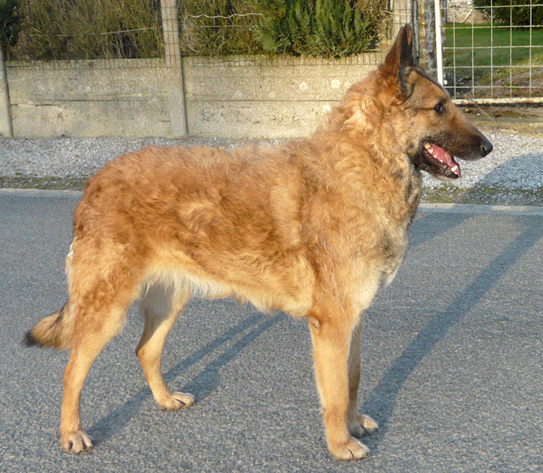 CH. Sr eluna d'eroudur