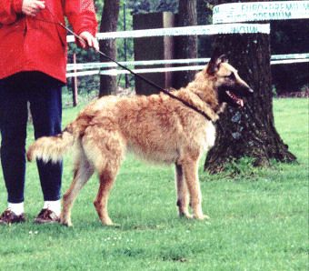 Yndy d'eroudur